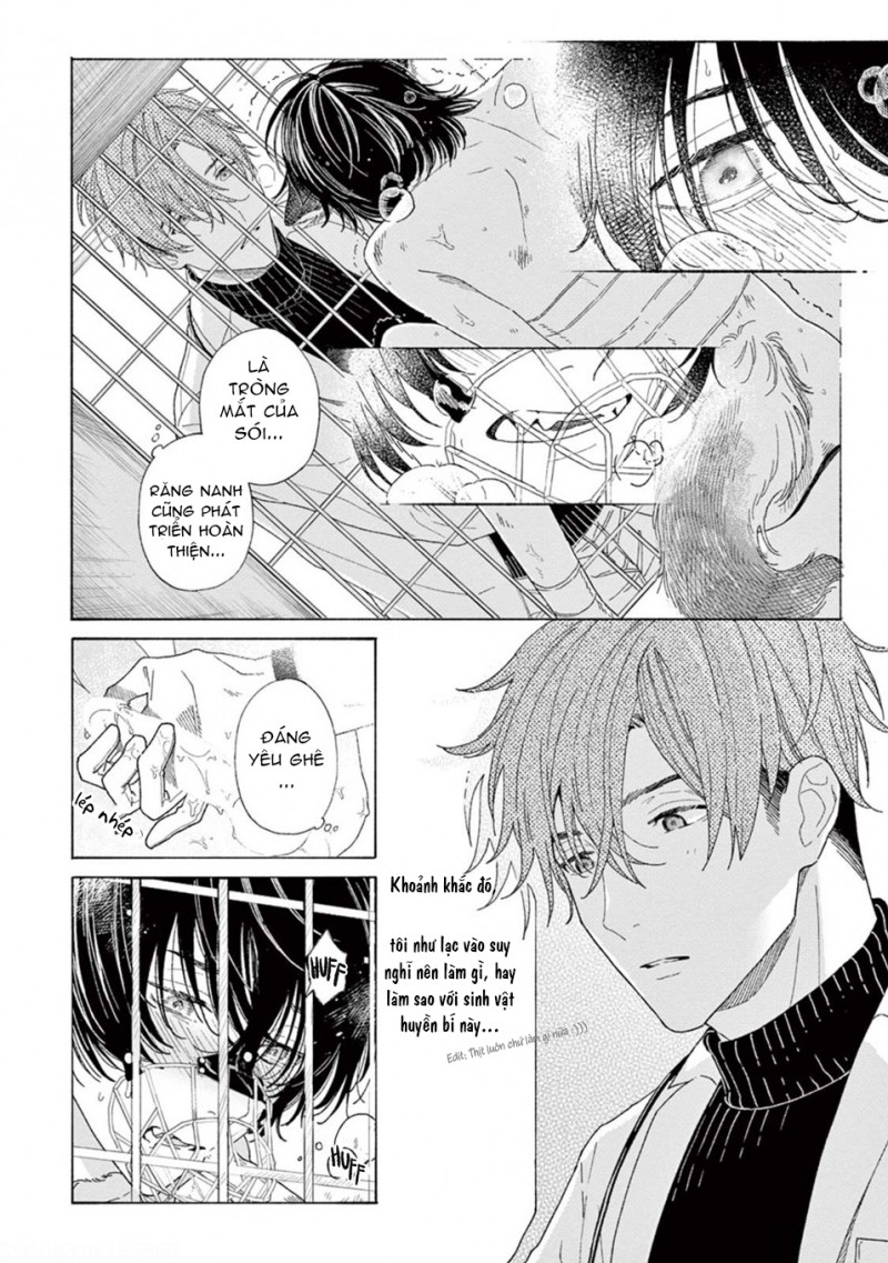 Đọc truyện Lời Yêu Khó Nói - Chapter 1