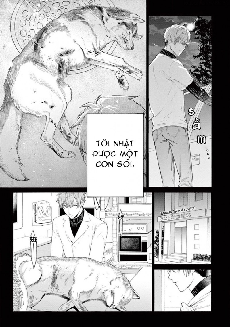 Đọc truyện Lời Yêu Khó Nói - Chapter 1