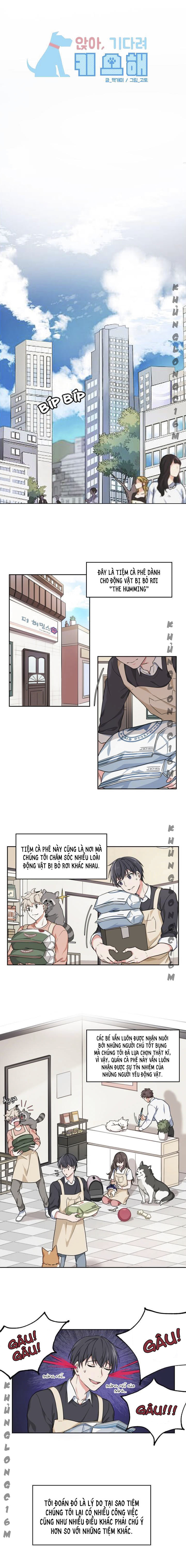 Đọc truyện Sit, Wait, Kiss Me - Chapter 1