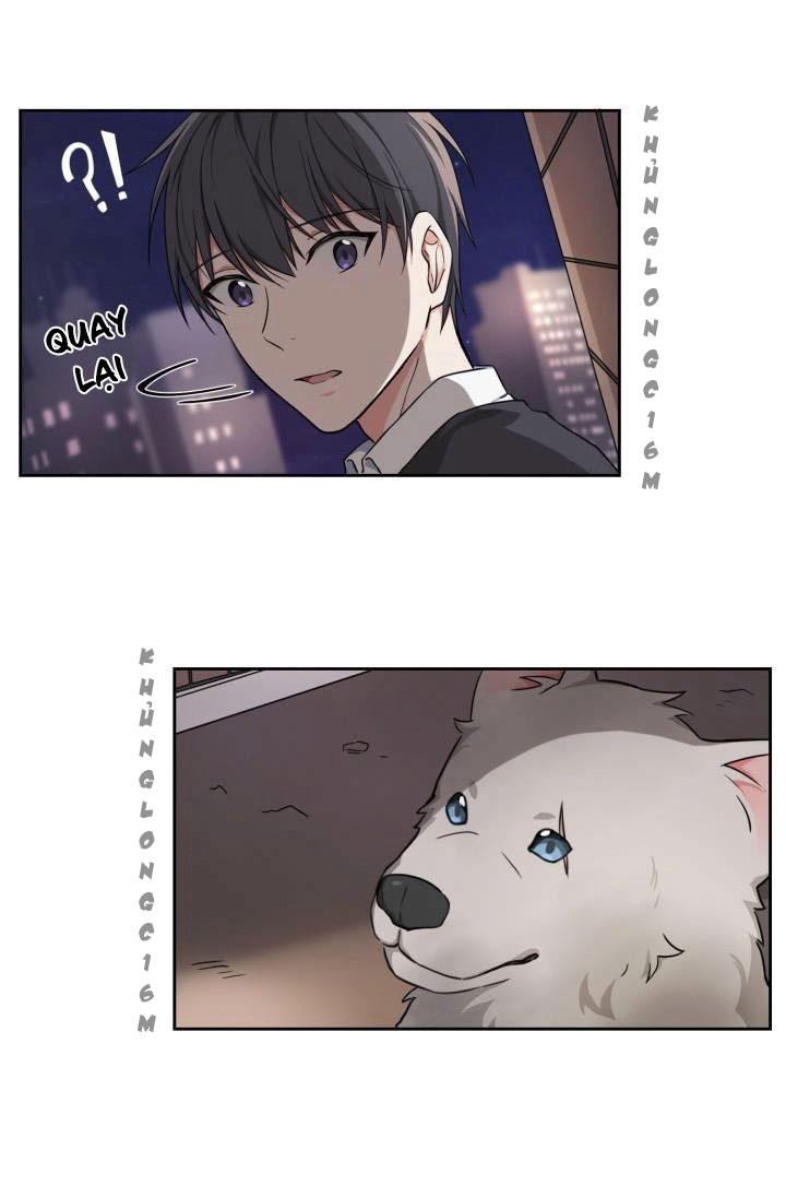 Đọc truyện Sit, Wait, Kiss Me - Chapter 1