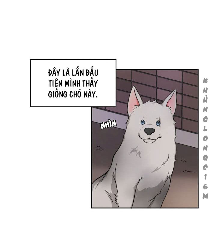 Đọc truyện Sit, Wait, Kiss Me - Chapter 1