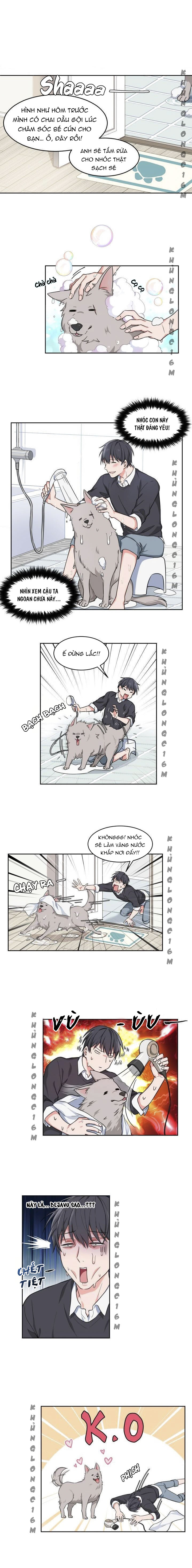 Đọc truyện Sit, Wait, Kiss Me - Chapter 1