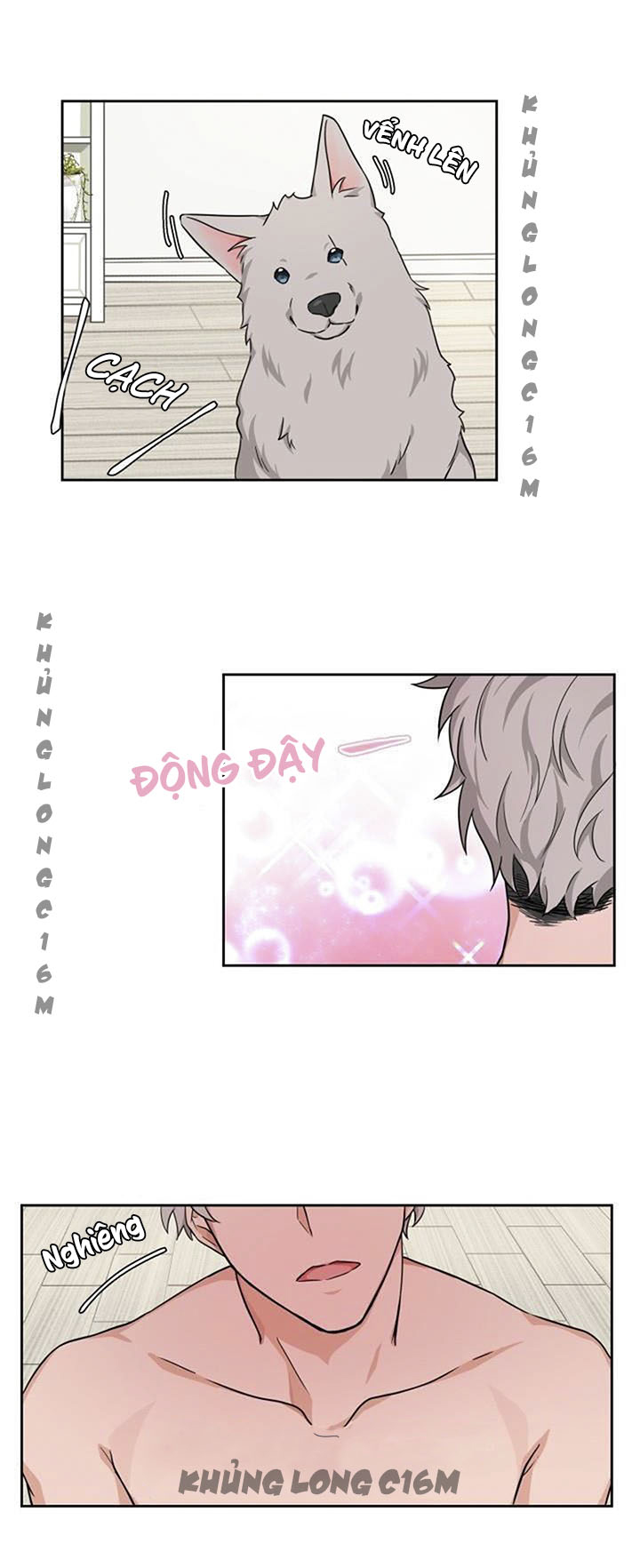 Đọc truyện Sit, Wait, Kiss Me - Chapter 1