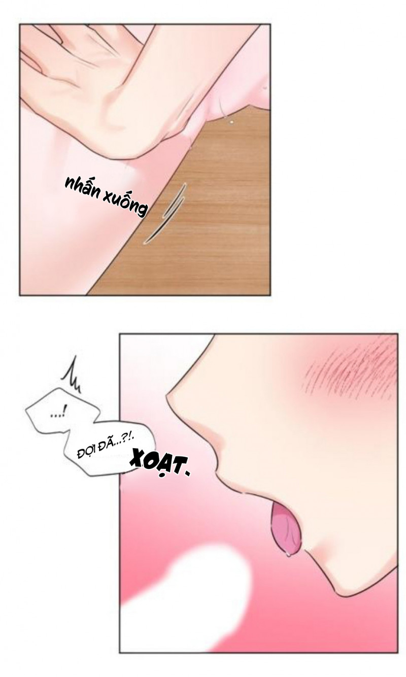 Đọc truyện Pheromone ngọt ngào - Chapter 5