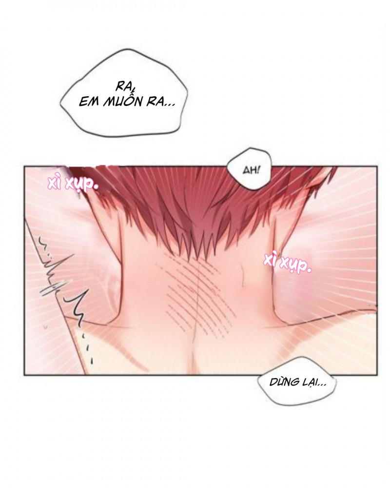 Đọc truyện Pheromone ngọt ngào - Chapter 5
