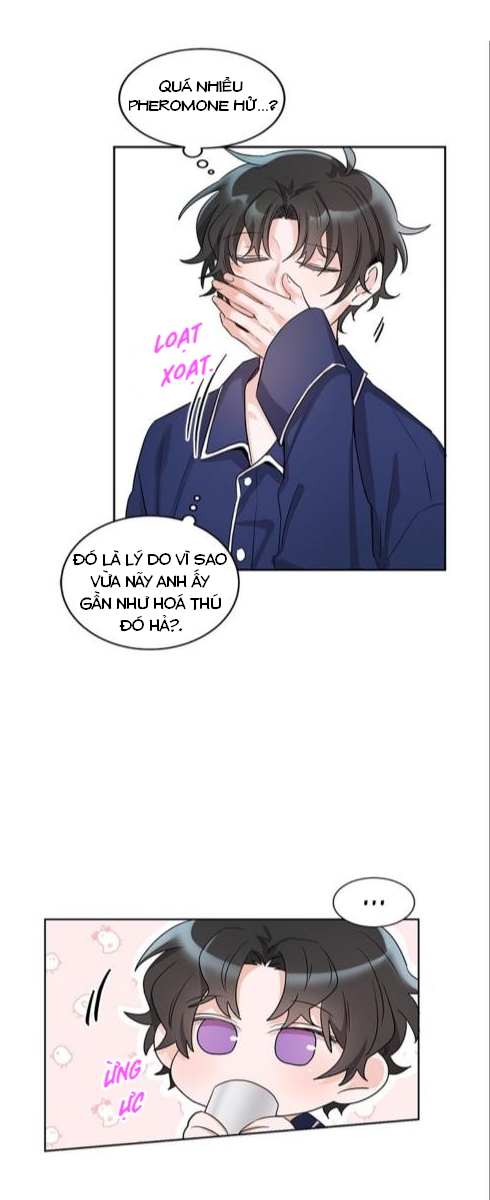 Đọc truyện Pheromone ngọt ngào - Chapter 6