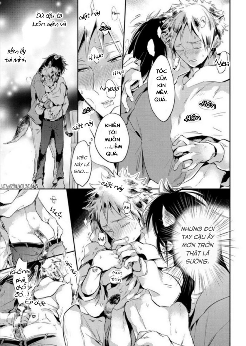 Đọc truyện Dục vọng Omega - Chapter 1