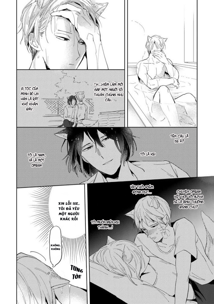 Đọc truyện Dục vọng Omega - Chapter 5