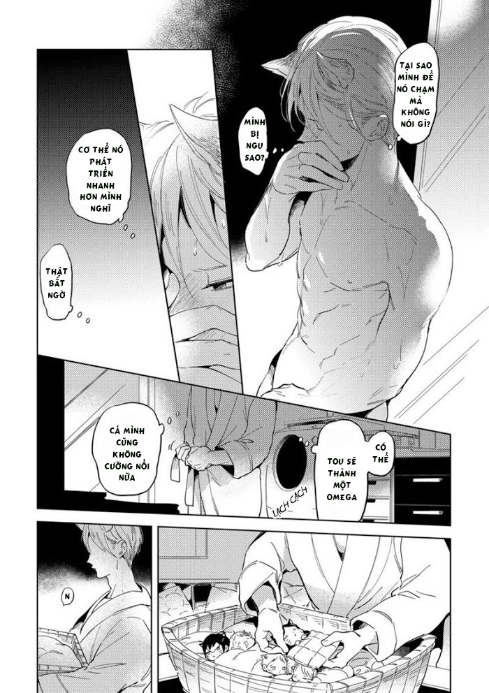 Đọc truyện Dục vọng Omega - Chapter 5