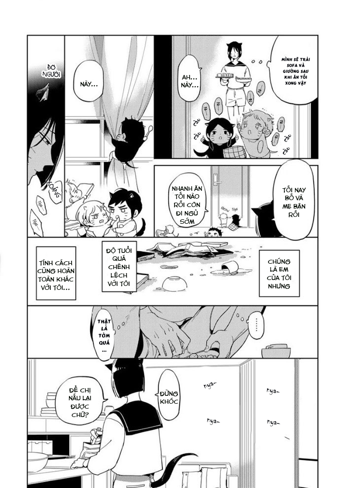 Đọc truyện Dục vọng Omega - Chapter 5
