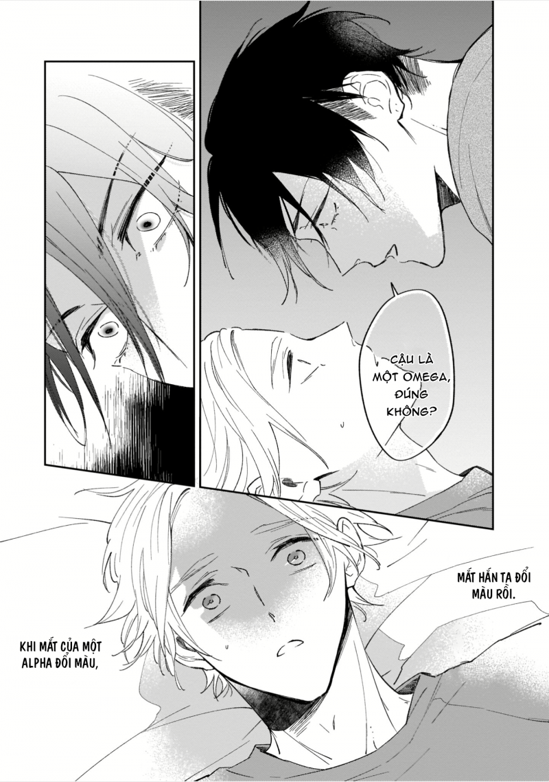 Đọc truyện Đừng Đánh Thức Omega Của Tôi - Chapter 1