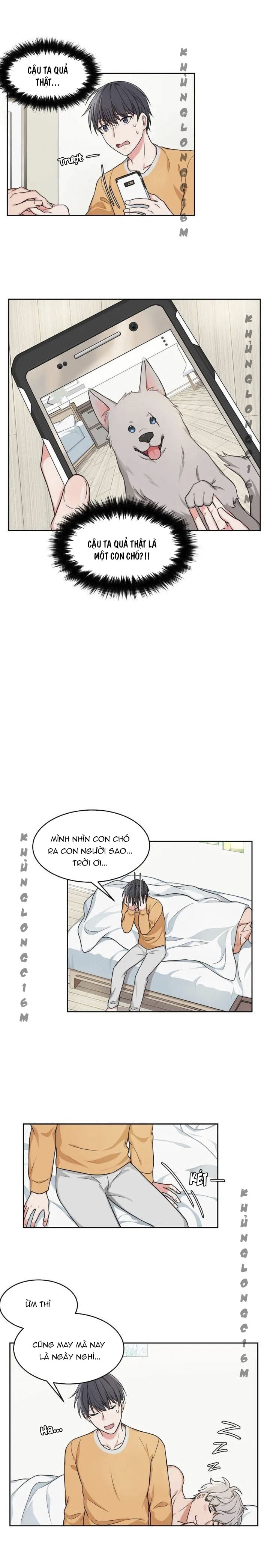 Đọc truyện Sit, Wait, Kiss Me - Chapter 2