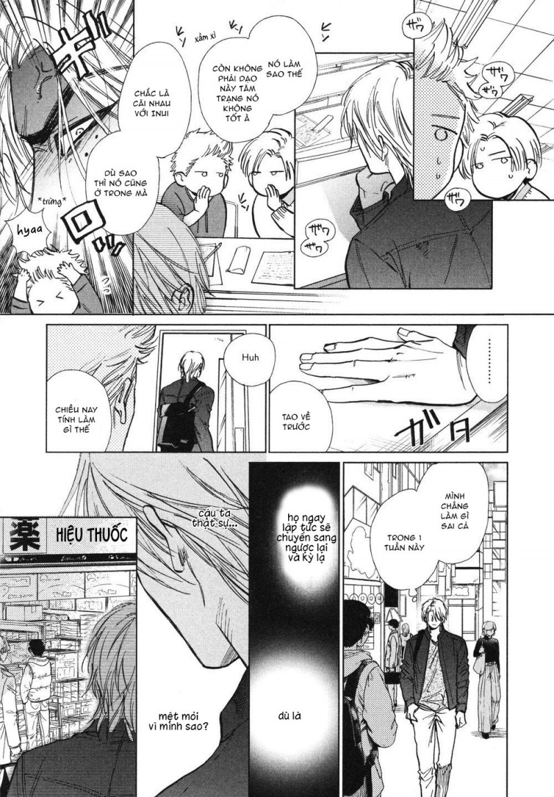 Đọc truyện Không tình dược - Chapter 5