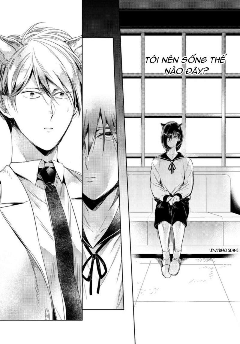 Đọc truyện Dục vọng Omega - Chapter 6