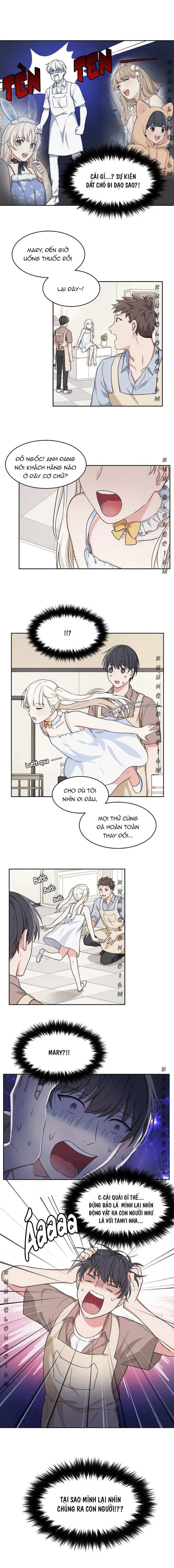 Đọc truyện Sit, Wait, Kiss Me - Chapter 3