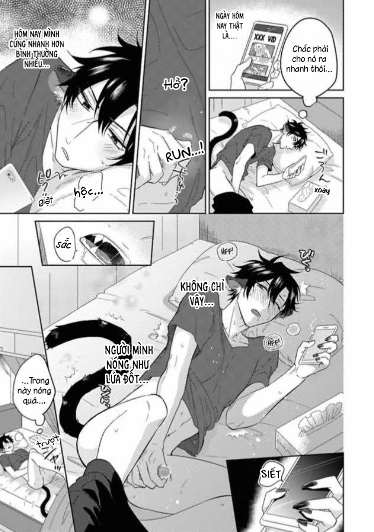 Đọc truyện Playboy beast - Chapter 1