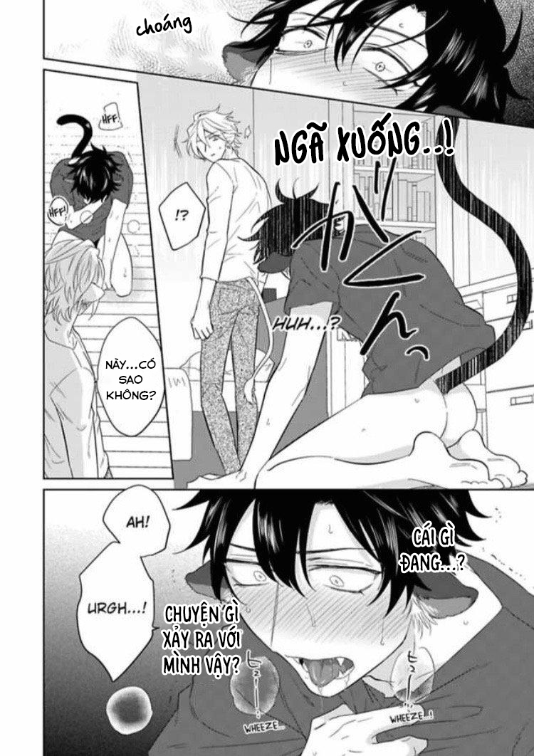 Đọc truyện Playboy beast - Chapter 1