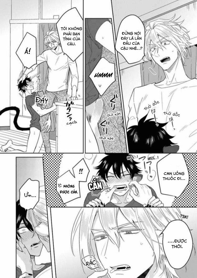 Đọc truyện Playboy beast - Chapter 1