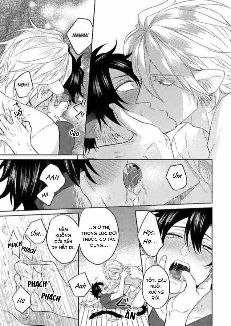 Đọc truyện Playboy beast - Chapter 1
