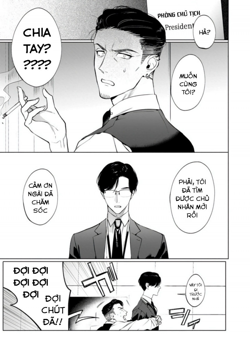 Đọc truyện Báo Săn Nơi Công Sở - Chapter 2