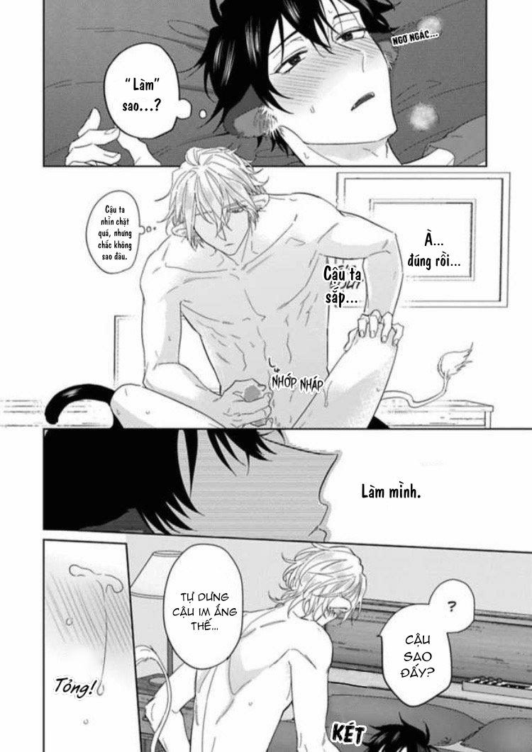 Đọc truyện Playboy beast - Chapter 2