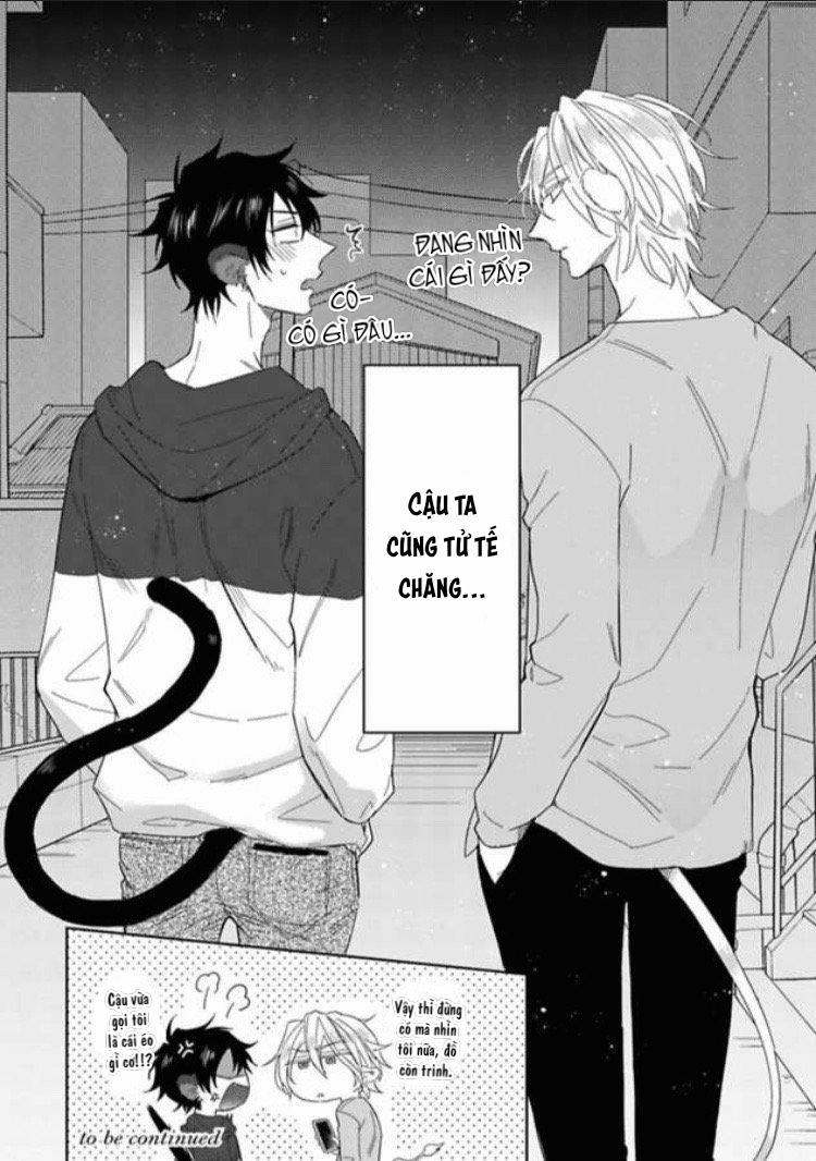 Đọc truyện Playboy beast - Chapter 2