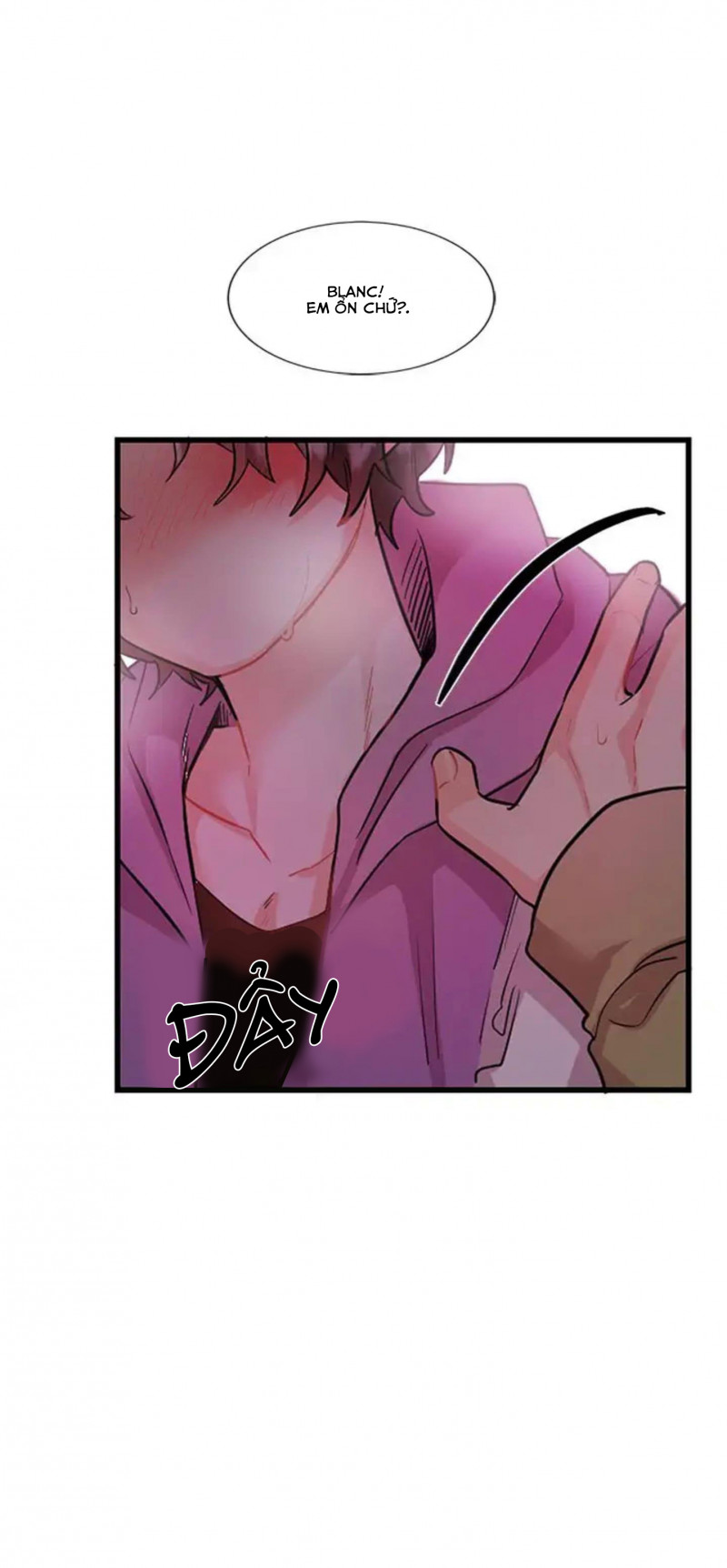 Đọc truyện Pheromone ngọt ngào - Chapter 12
