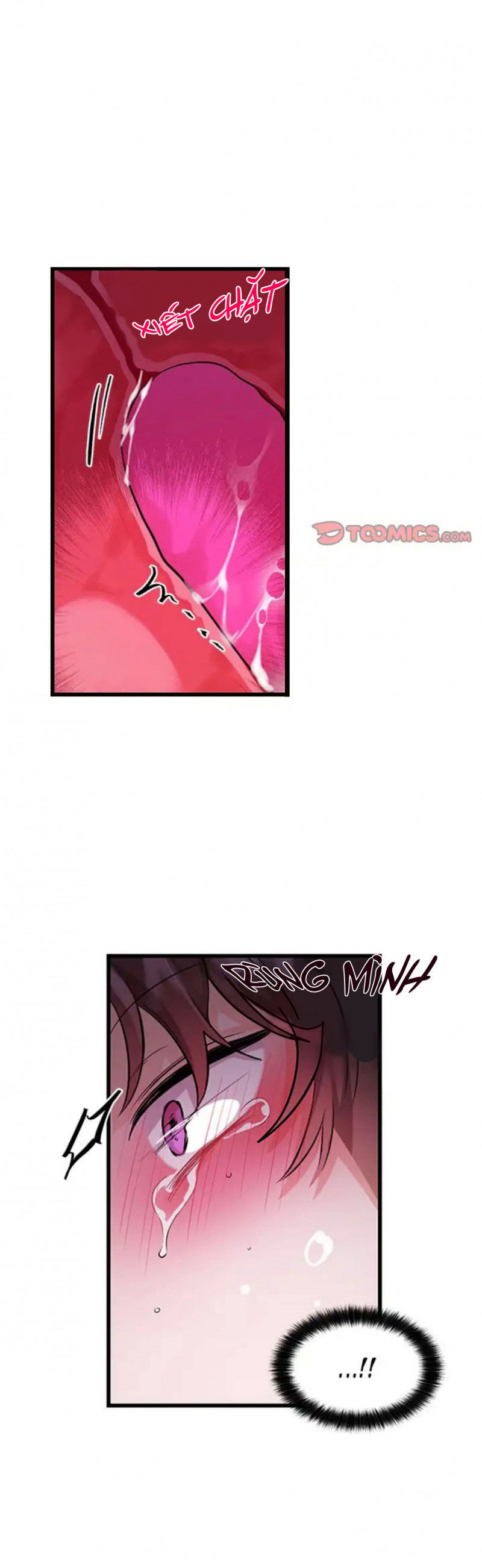 Đọc truyện Pheromone ngọt ngào - Chapter 12