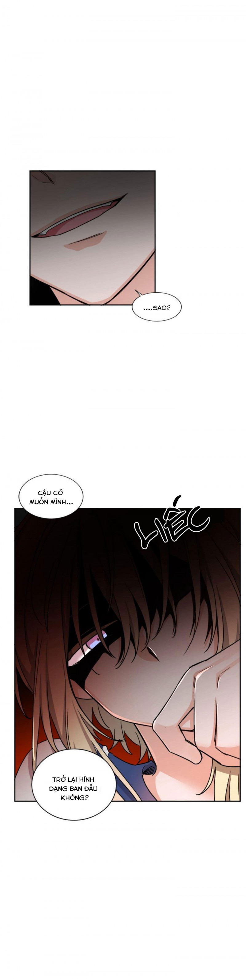 Đọc truyện Pheromone ngọt ngào - Chapter 16