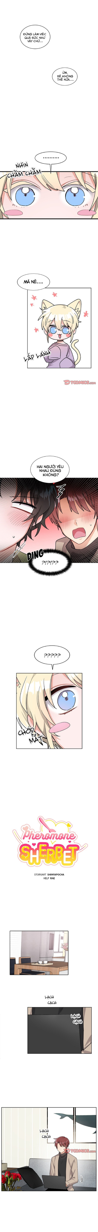Đọc truyện Pheromone ngọt ngào - Chapter 17