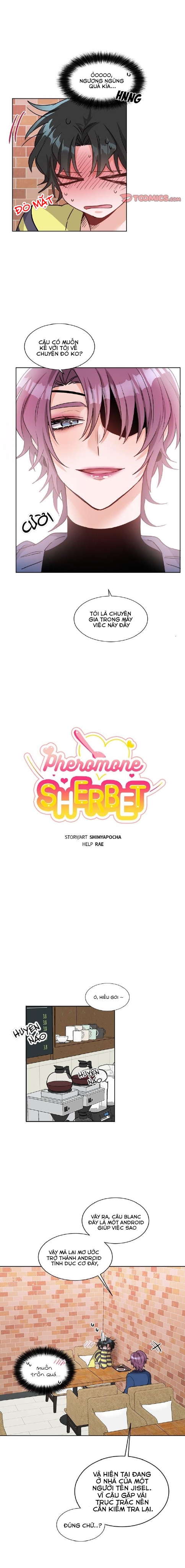 Đọc truyện Pheromone ngọt ngào - Chapter 18