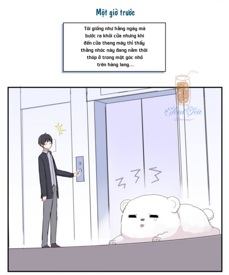 Đọc truyện Vết rượu ngọt ngào - Chapter 3