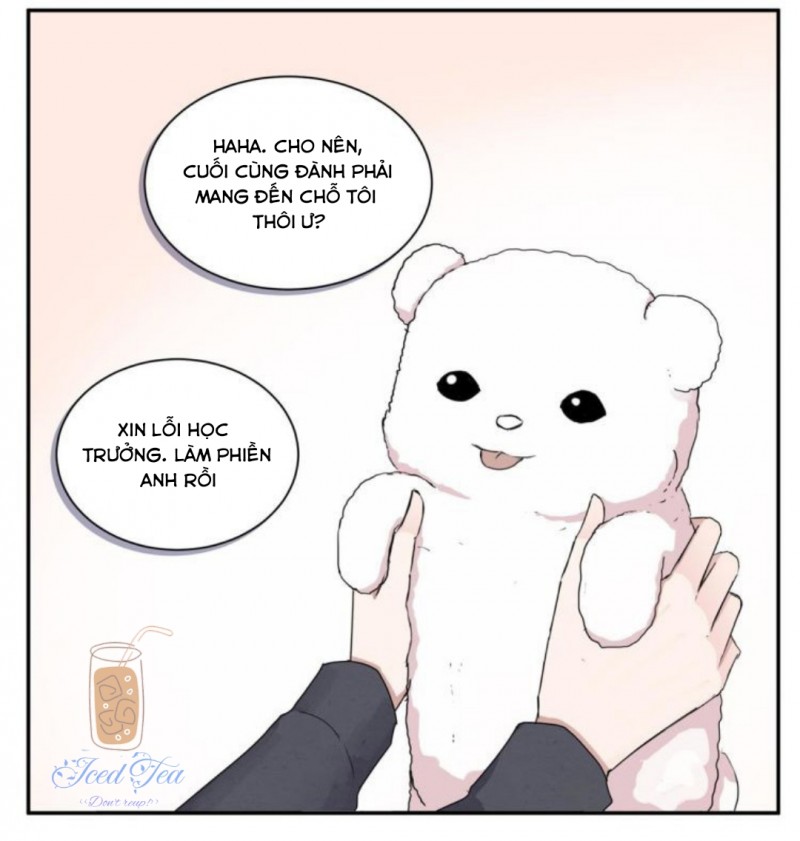 Đọc truyện Vết rượu ngọt ngào - Chapter 3