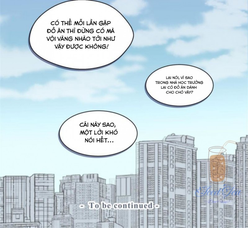 Đọc truyện Vết rượu ngọt ngào - Chapter 3