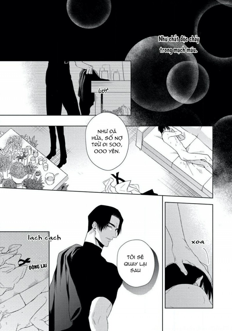 Đọc truyện Mitsu to Adabana  - Chapter 1