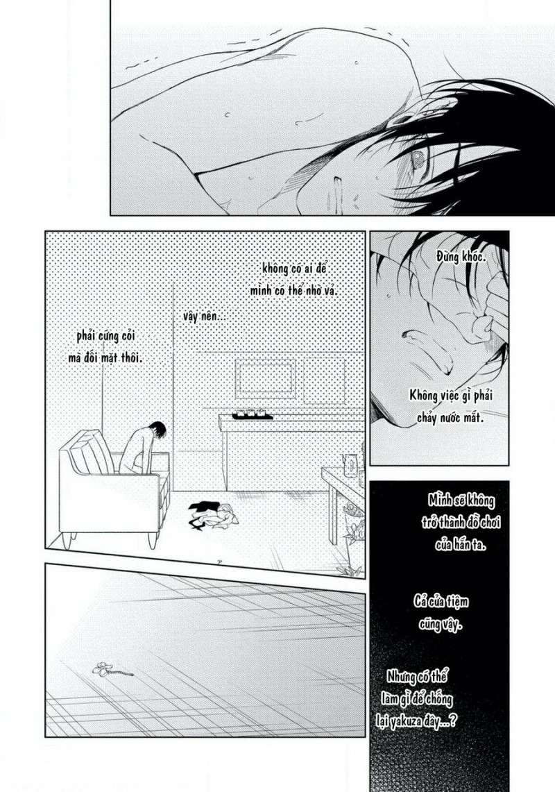 Đọc truyện Mitsu to Adabana  - Chapter 1