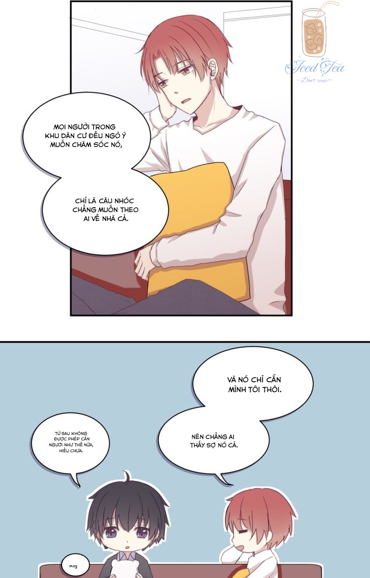 Đọc truyện Vết rượu ngọt ngào - Chapter 4
