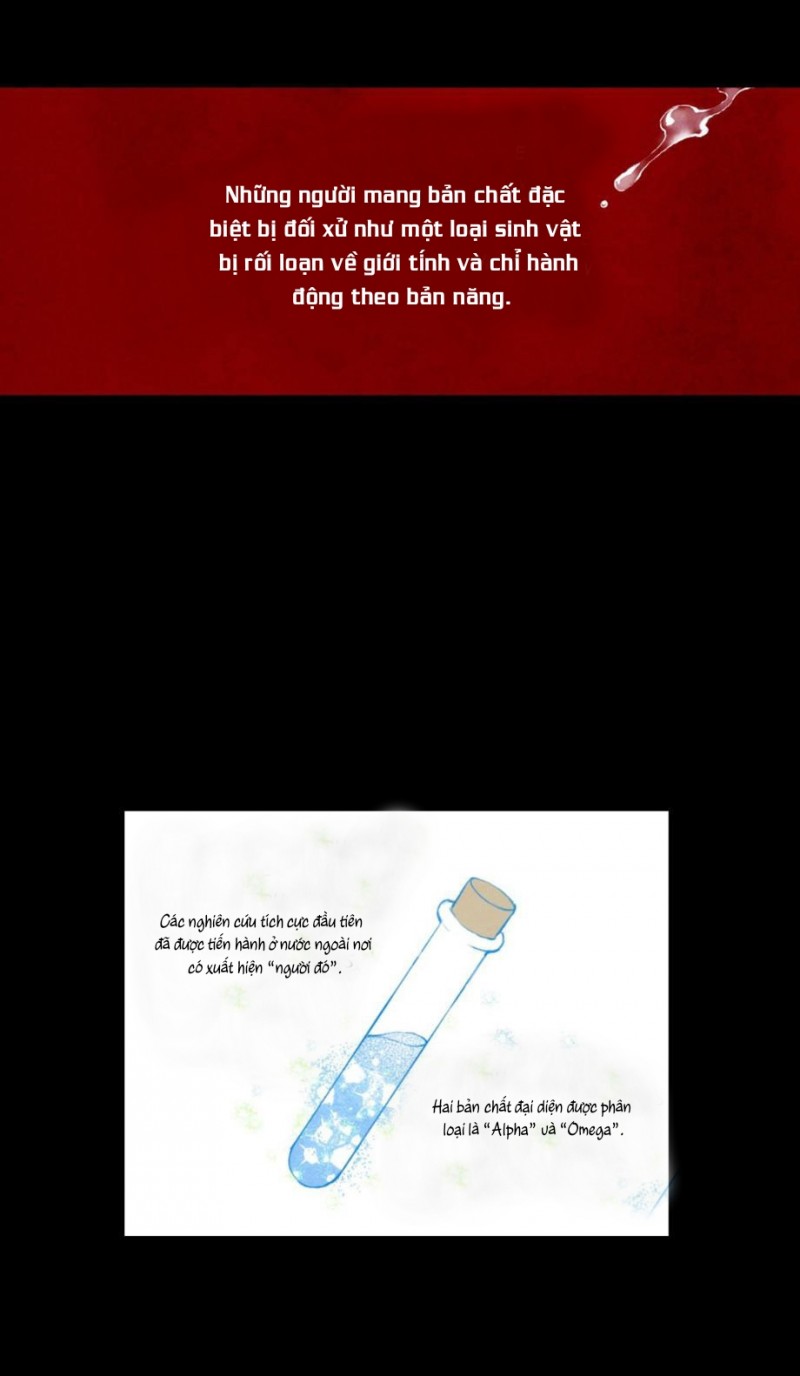 Đọc truyện Chuyện tình cây liễu - Chapter 1