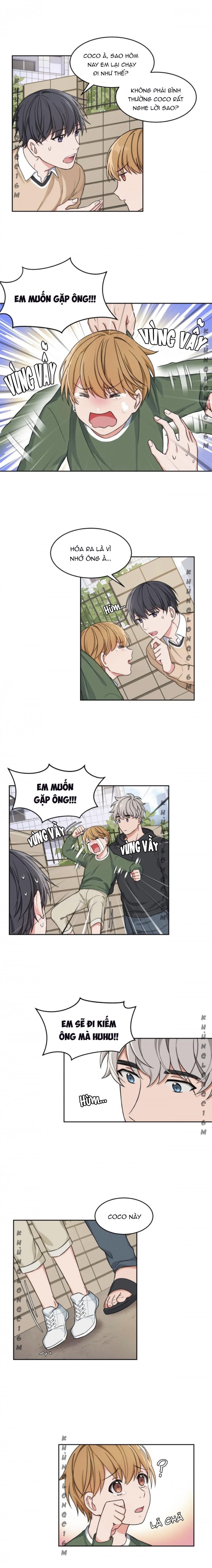 Đọc truyện Sit, Wait, Kiss Me - Chapter 8