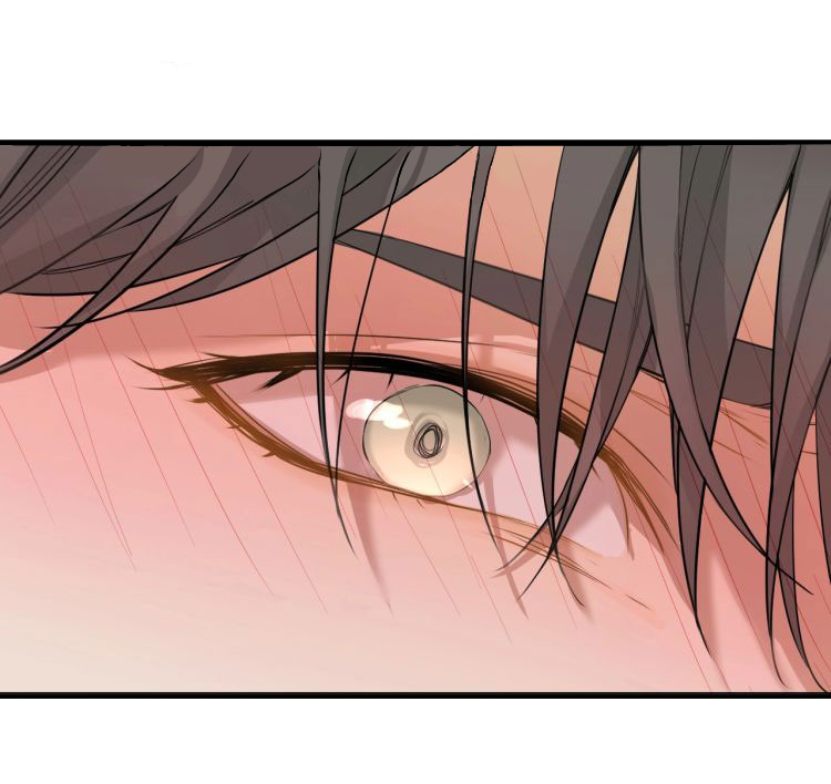 Đọc truyện Cú Va Chạm 0 Độ - Chapter 3