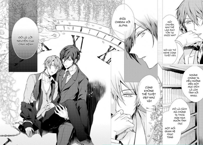 Đọc truyện Erito Omega Chìm Đắm Trong Màn Đêm - Chapter 3