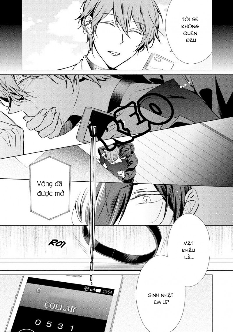 Đọc truyện Erito Omega Chìm Đắm Trong Màn Đêm - Chapter 10