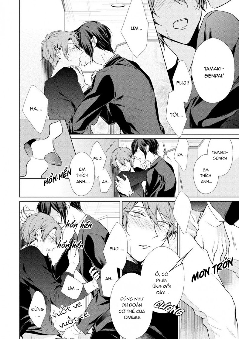 Đọc truyện Erito Omega Chìm Đắm Trong Màn Đêm - Chapter 10