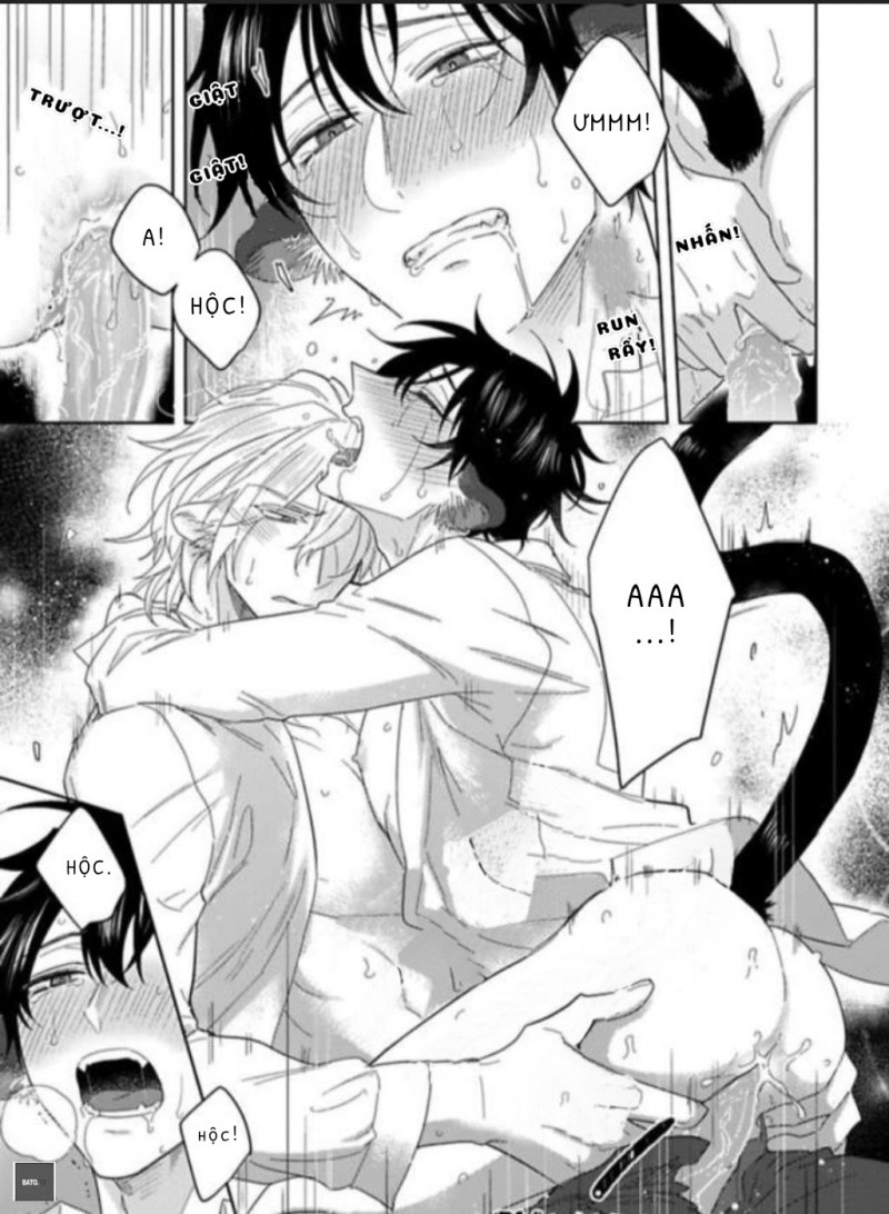 Đọc truyện Playboy beast - Chapter 4