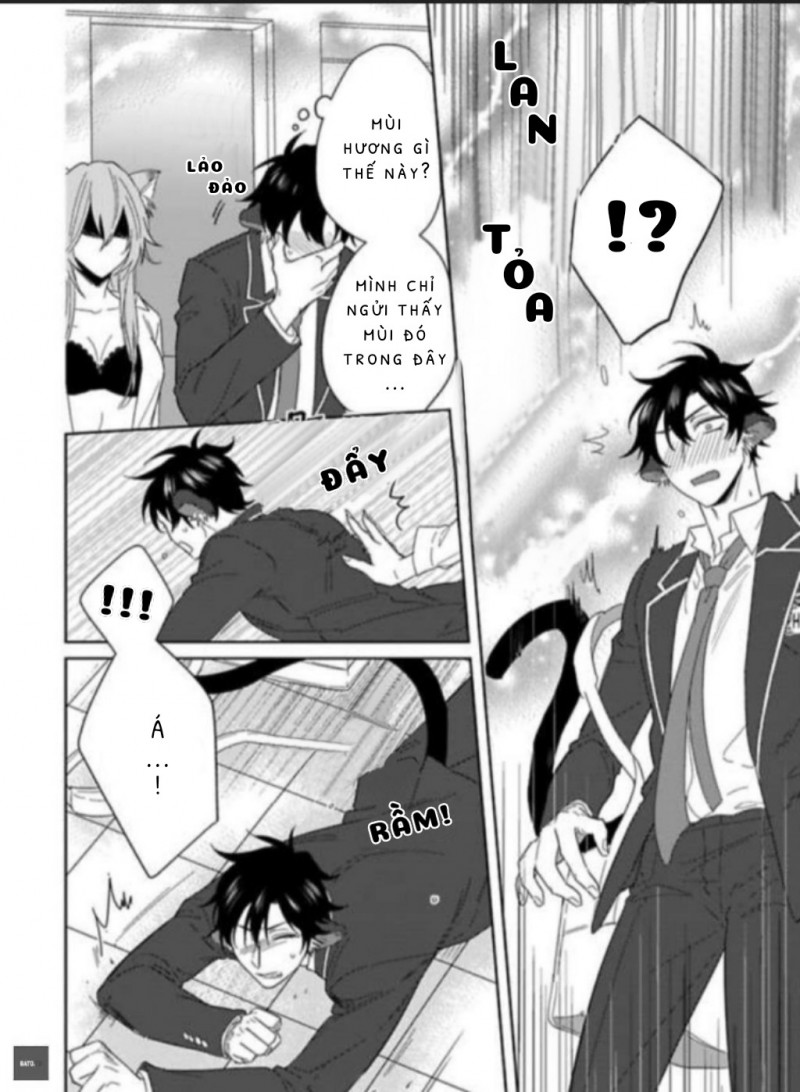 Đọc truyện Playboy beast - Chapter 4
