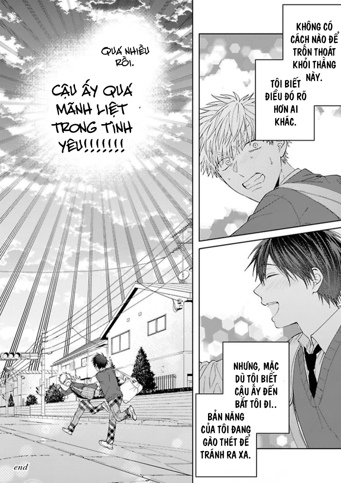 Đọc truyện Tình Yêu Mãnh Liệt - Chapter 5
