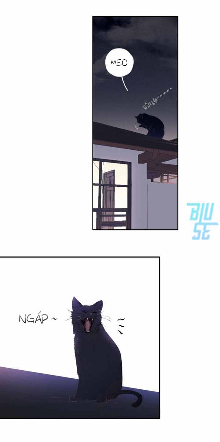 Đọc truyện Ở Trong Bóng Tối - Chapter 1