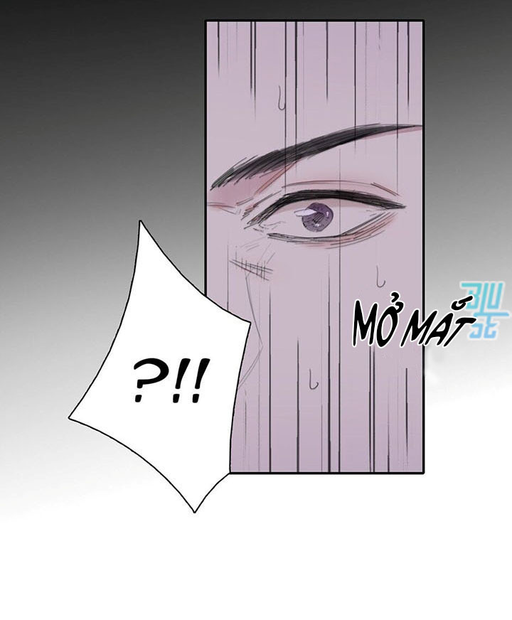 Đọc truyện Ở Trong Bóng Tối - Chapter 8