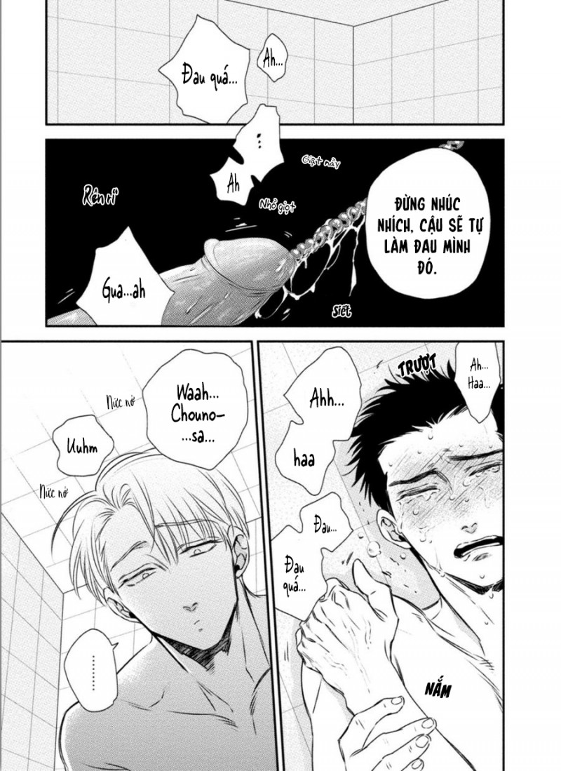 Đọc truyện Mối Quan Hệ Giữa Bướm Và Hoa - Chapter 3