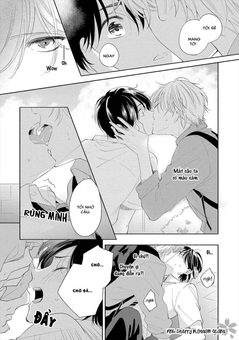 Đọc truyện Mùa Hoa Anh Đào - Chapter 1